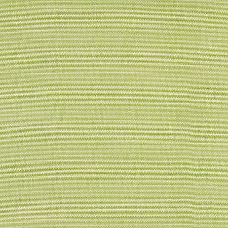 Boardroom Spring by Carole Fabric Power Play 100% IFR Hybrid Polyester 25,000 Wyzenbeek Double Rubs None 54" - Fabric Carolina -