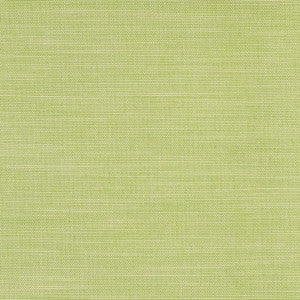 Boardroom Spring by Carole Fabric