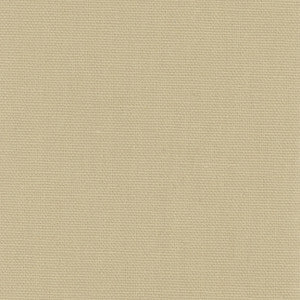 Daydreamer Raffia by Carole Fabric