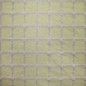 Best Man Pistachio by Carole Fabric