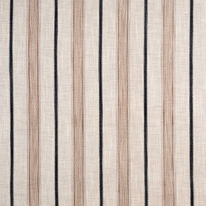 Clean Lines Peppercorn by Carole Fabric