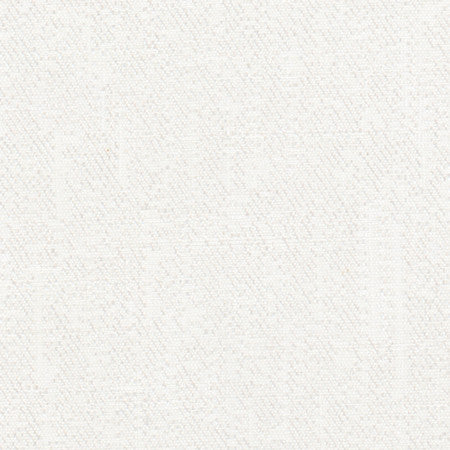 Inspire Snow by Carole Fabric Synchrony 100% Polyester China N/A None 57"  - Fabric Carolina -
