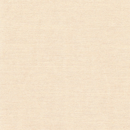 Northwind Dune by Carole Designer Fabric New Northwind Iii,New Northwind IV 100% Polyester India Passes 9,000 Double Rubs Wyznebeek Horizontal: None and Vertical: None 54" - Swanky Fabrics -