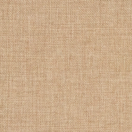 Director's Cut Honey by Carole Fabric Power Play 100% Polyester N/A None 55" - Fabric Carolina -