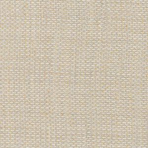 Widespread Oatmeal by Carole Fabric