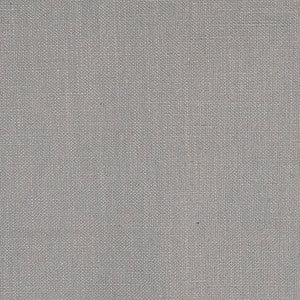 Best Of Both Silver by Carole Fabric