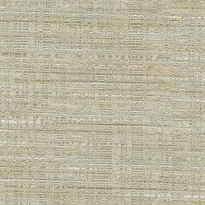 Floor It Linen by Carole Fabric