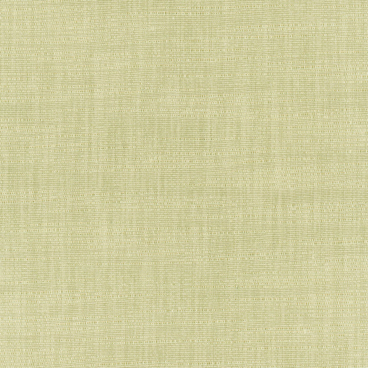 Athlete Celery by Carole Fabric Celadon 60% Cotton, 40% Polyester India Passes 50,000 Double Rubs Wyzenbeek Horizontal: 0 and Vertical: 0 55 - Fabric Carolina -