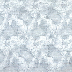 The Dream Cloud by Carole Fabric