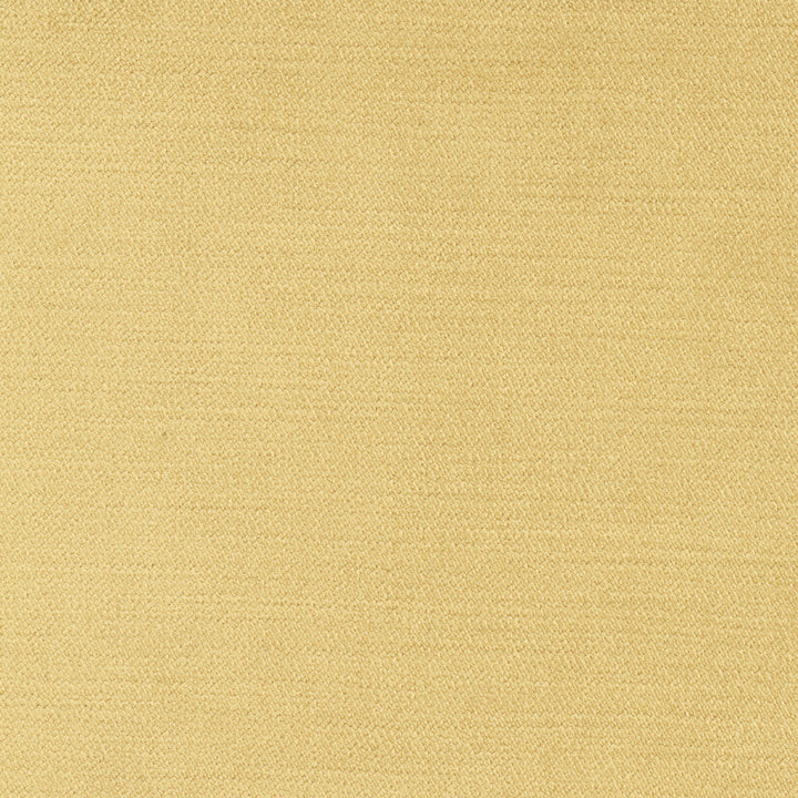 Regal Touch Camel by Carole Designer Fabric Touch Of Luxury 100% Polyester Turkey 15,000 Wyzenbeek Double Rubs Horizontal: 0 and Vertical: 0 55 - Swanky Fabrics -