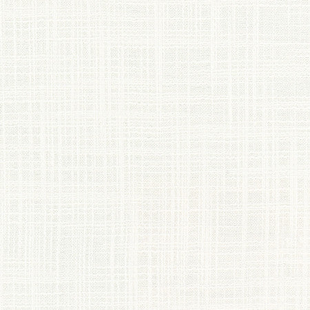 Lets Be Real Natural by Carole Fabric See It Through 100% Recycled Polyester India  None 54"  - Fabric Carolina -