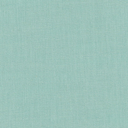 Athlete Spa by Carole Fabric Celadon 60% Cotton, 40% Polyester India Passes 50,000 Double Rubs Wyzenbeek None 55"  - Fabric Carolina -