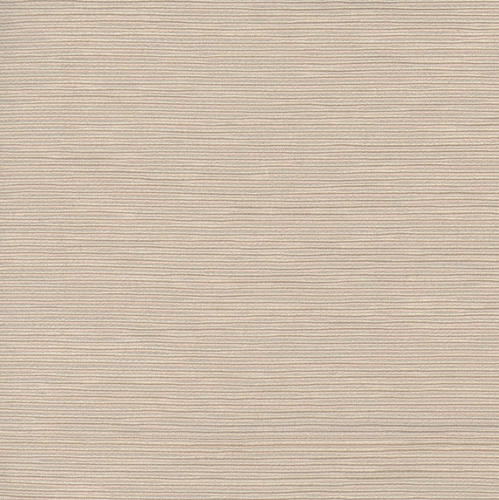 First Novel Putty by Carole Fabric Stationery 72% Rayon, 28% Polyester China Passes 30,000 Double Rubs Wyzenbeek Horizontal: 0 and Vertical: 0 55 - Fabric Carolina -