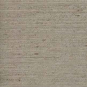 Aiden Taupe by Carole Fabric