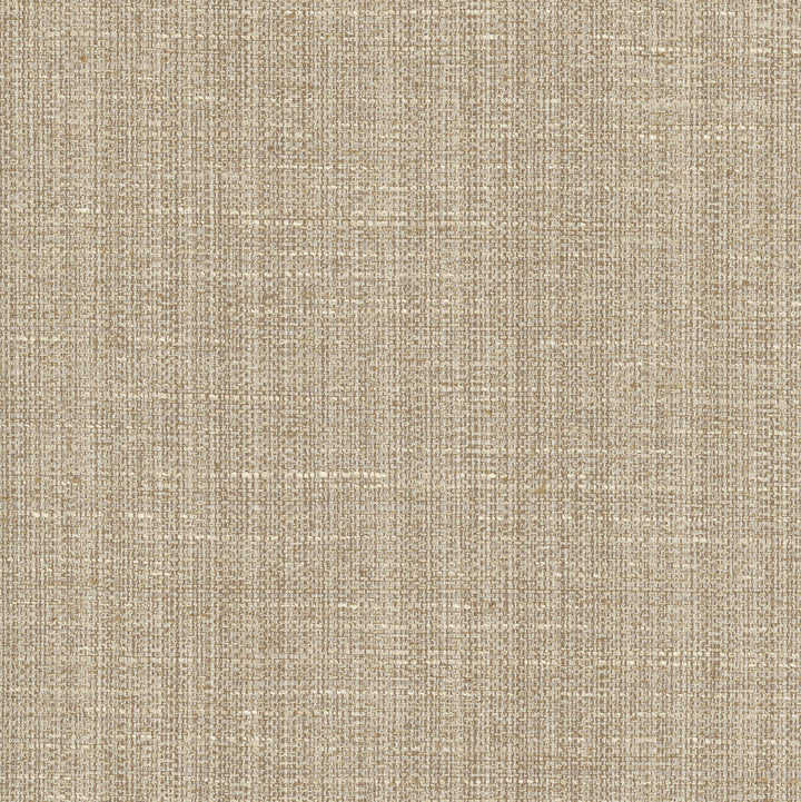 Rock Wall Shale by Carole Fabric Chestnut 83% Polyester, 12% Cotton, 5% Rayon India N/A Horizontal: 0 and Vertical: 0 55 - Fabric Carolina -