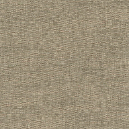 Athlete Taupe by Carole Fabric Chestnut 60% Cotton, 40% Polyester India  None 55"  - Fabric Carolina -