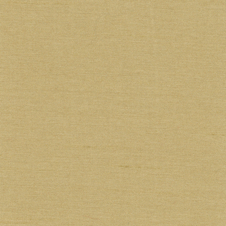 Northwind Doe by Carole Designer Fabric New Northwind Iv 100% Polyester India Passes 9,000 Double Rubs Wyzenbeek Horizontal: 0 and Vertical: 0 54 - Swanky Fabrics -