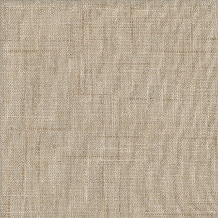 Amiable Toast by Carole Fabric Alliance 78% Polyester, 22% Viscose India N/A None 54""  - Fabric Carolina -