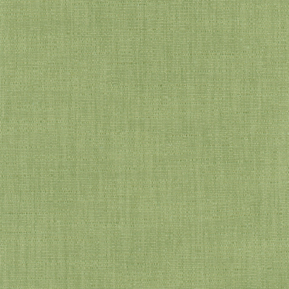 Athlete Green by Carole Fabric Celadon 60% Cotton, 40% Polyester India Passes 50,000 Double Rubs Wyzenbeek Horizontal: 0 and Vertical: 0 55 - Fabric Carolina -