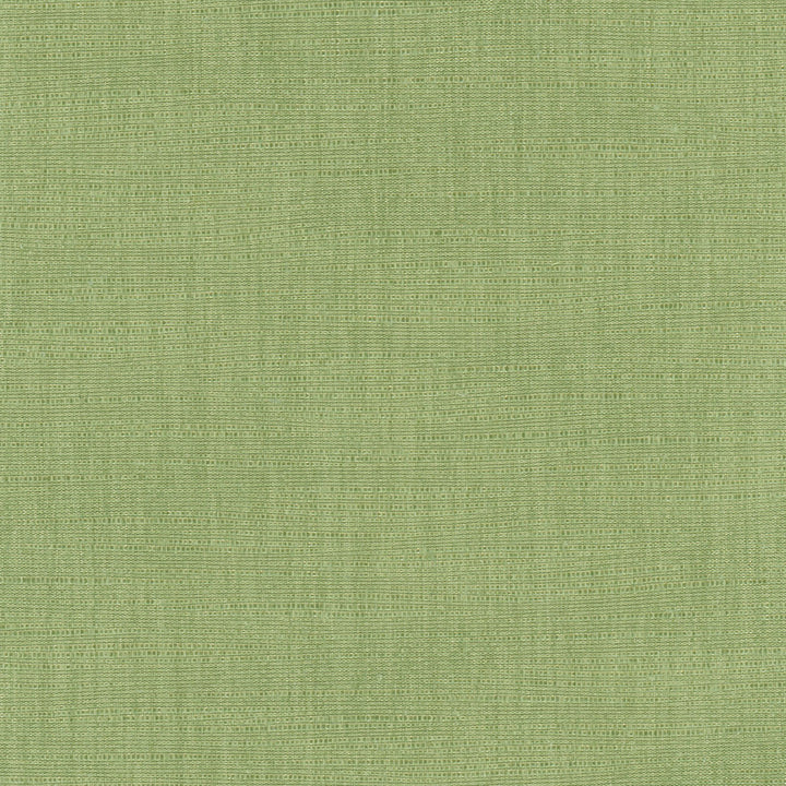 Athlete Green by Carole Fabric Celadon 60% Cotton, 40% Polyester India Passes 50,000 Double Rubs Wyzenbeek Horizontal: 0 and Vertical: 0 55 - Fabric Carolina -