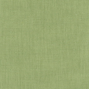 Athlete Green by Carole Fabric