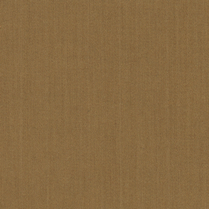 Tempt Saddle by Carole Fabric Royale 100% IFR Polyester India Passes 45,000 Double Rubs Wyzenbeek Horizontal: 0 and Vertical: 0 54 - Fabric Carolina -