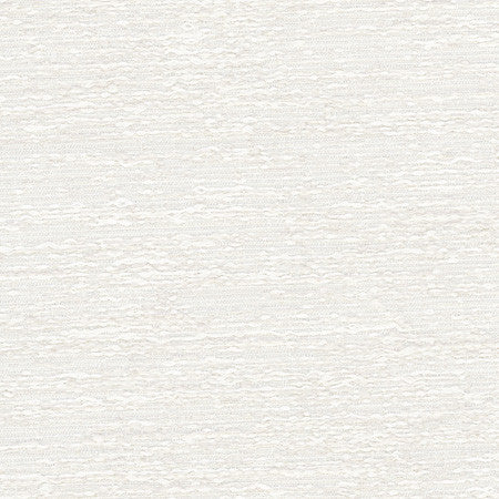 Stampede Off White by Carole Fabric Opal 100% Polyester India  None 54"  - Fabric Carolina -