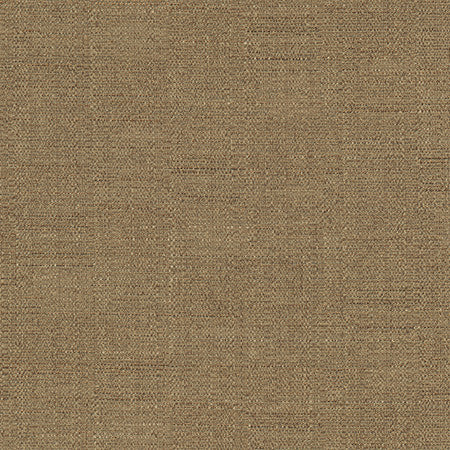 Cortland Coffee by Carole Fabric Gala 100% Polyester India  None 54.75"  - Fabric Carolina -