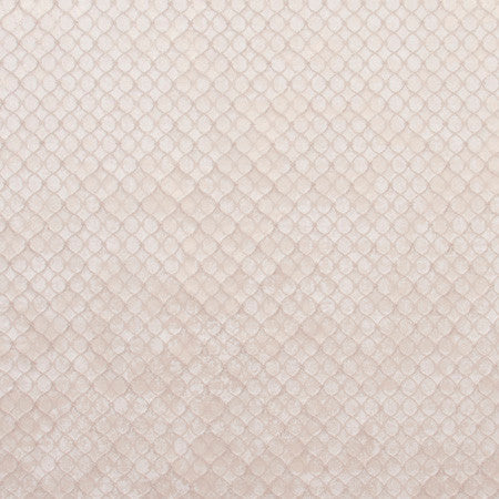 Make A Splash Moonstone by Carole Fabric Skyscraper 100% Polyester India  1 1/2" V, 1 1/2" H 54"  - Fabric Carolina -