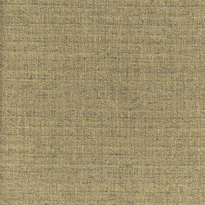 Trampoline Pewter by Carole Fabric