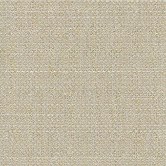 Air Time Cocoon by Carole Fabric Sensibility 100% Polyester Taiwan Passes 10,000 Double Rubs Wyzenbeek NONE 54"  - Fabric Carolina -