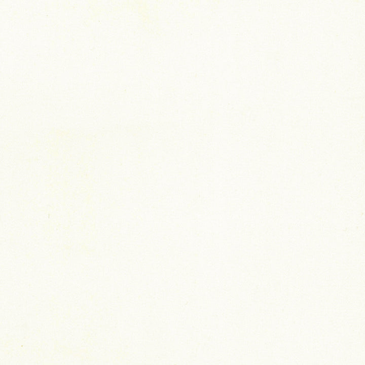 Comfort Chalk by Carole Fabric Daydreaming 100% Cotton India Passes 21,000 Double Rubs Wyzenbeek Horizontal: 0 and Vertical: 0 54 - Fabric Carolina -