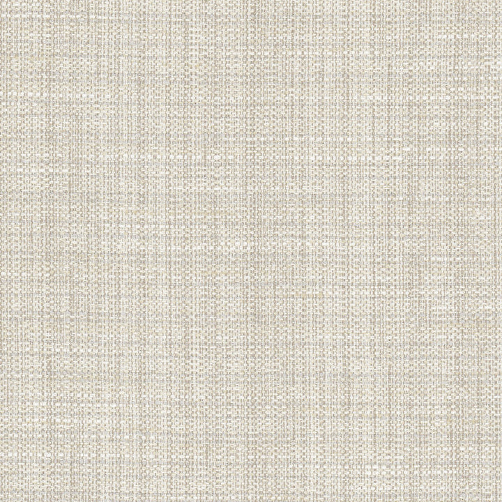 Rock Wall Fog by Carole Fabric Opal 83% Polyester, 12% Cotton, 5% Rayon India N/A Horizontal: 0 and Vertical: 0 55 - Fabric Carolina -