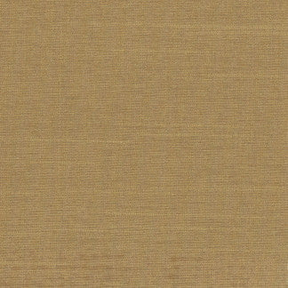Succulent Buff by Carole Designer Fabric Succulent,Succulent II 100% POLYESTER INDIA N/A Horizontal: None and Vertical: NONE 54" - Swanky Fabrics -