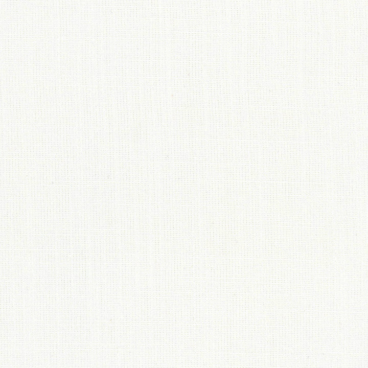 Aerial White by Carole Fabric Opal 100% Polyester India Passes 50,000 Double Rubs Wyzenbeek Horizontal: 0 and Vertical: 0 56 - Fabric Carolina -