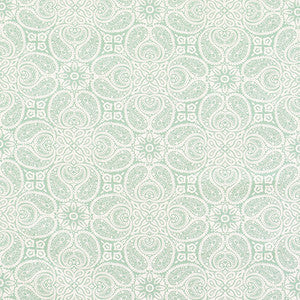Paisley Connections Spa by Carole Fabric