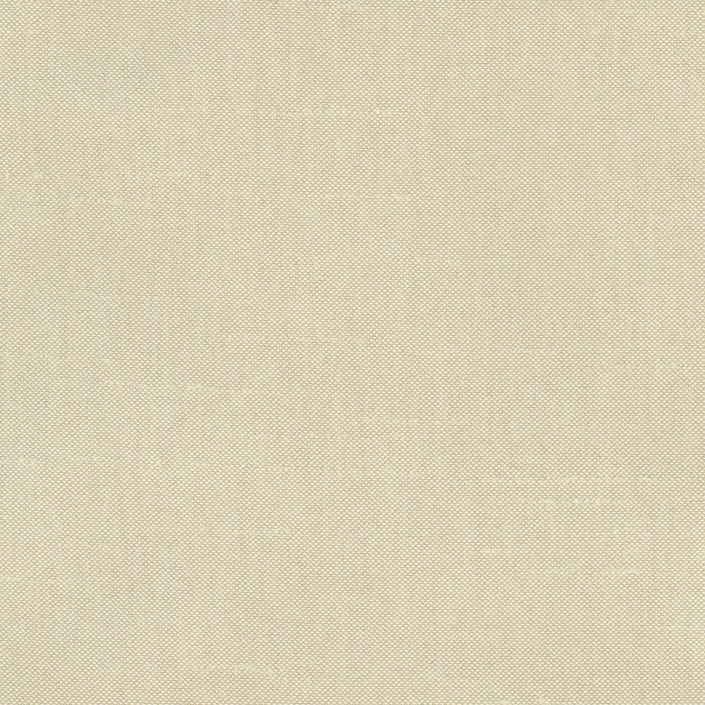Fleeting Plantain by Carole Fabric Royale 100% Polyester India Passes 50,000 Double Rubs Wyzenbeek Horizontal: 0 and Vertical: 0 54 - Fabric Carolina -
