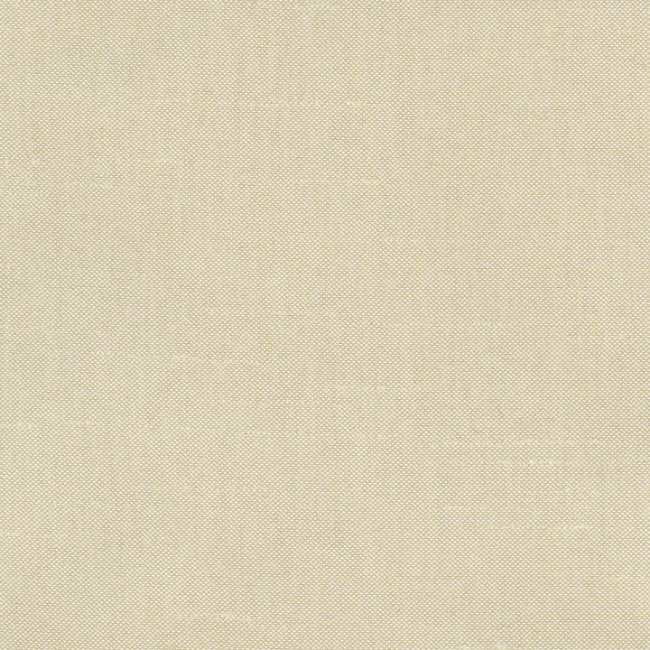 Fleeting Plantain by Carole Fabric Royale 100% Polyester India Passes 50,000 Double Rubs Wyzenbeek Horizontal: 0 and Vertical: 0 54 - Fabric Carolina -