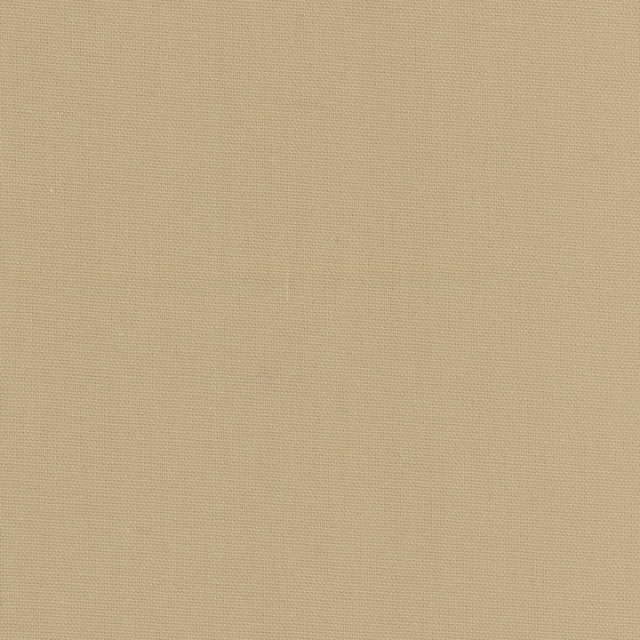 Daydreamer Khaki by Carole Fabric Daydreaming 100% Cotton- Soil Release USA Passes 30,000 Double Rubs Wyzenbeek Horizontal: 0 and Vertical: 0 54 - Fabric Carolina -