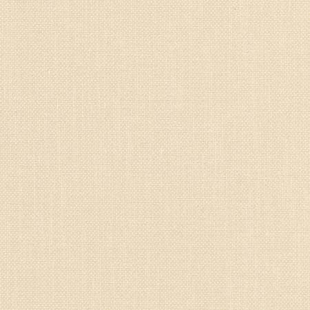Liberty Champagne by Carole Fabric Liberty II 100%  Polyester India 50,000 Wyzenbeek Double Rubs None 54"  - Fabric Carolina -