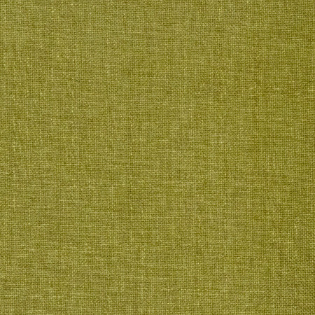 Business Casual Cactus by Carole Designer Fabric Power Play 100% Polyester 100,000 Wyzenbeek Double Rubs None 54" - Swanky Fabrics -