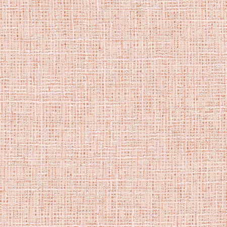 Adjuster Blush by Carole Fabric Sunbaked 62% Polyester, 32% Cotton, 6% Viscose INDIA 27,000 Wyzenbeek Double Rubs None 54"  - Fabric Carolina -