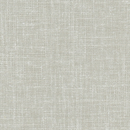 Inner Child Nickel by Carole Fabric Pewter 66% Polyester, 21% Cotton, 13% Linen India Passes 15,000 Double Rubs Wyzenbeek Horizontal: None and Vertical: None 54" - Fabric Carolina -
