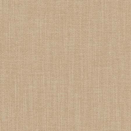 Liberty Latte by Carole Designer Fabric Liberty,Liberty II 100% Polyester India None 54" - Swanky Fabrics -