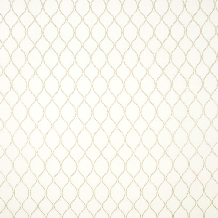 Unbreakable Beige by Carole Fabric Birch 66% Cotton, 20% Polyester, 14% Zari India Passes 50,000 Double Rubs Wyzenbeek Horizontal: 275 and Vertical: 475 53 - Fabric Carolina -
