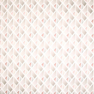 Problem Solved Powder by Carole Fabric