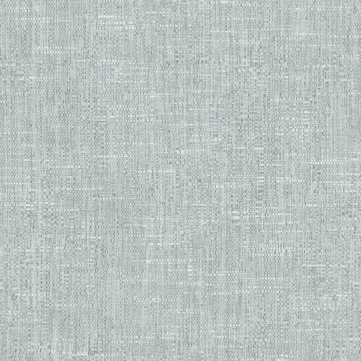 Hard Knocks Cloud by Carole Fabric Cadet 69% Polyester, 31% Cotton India Passes 30,000 Double Rubs Wyzenbeek Horizontal: 0 and Vertical: 0 555 - Fabric Carolina -
