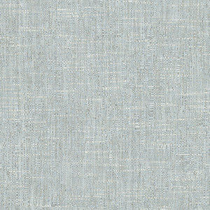 Hard Knocks Cloud by Carole Fabric