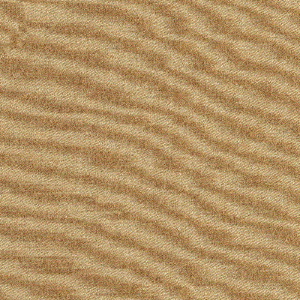 Tempt Sepia by Carole Fabric Royale 100% IFR Polyester India Passes 45,000 Double Rubs Wyzenbeek Horizontal: 0 and Vertical: 0 54 - Fabric Carolina -