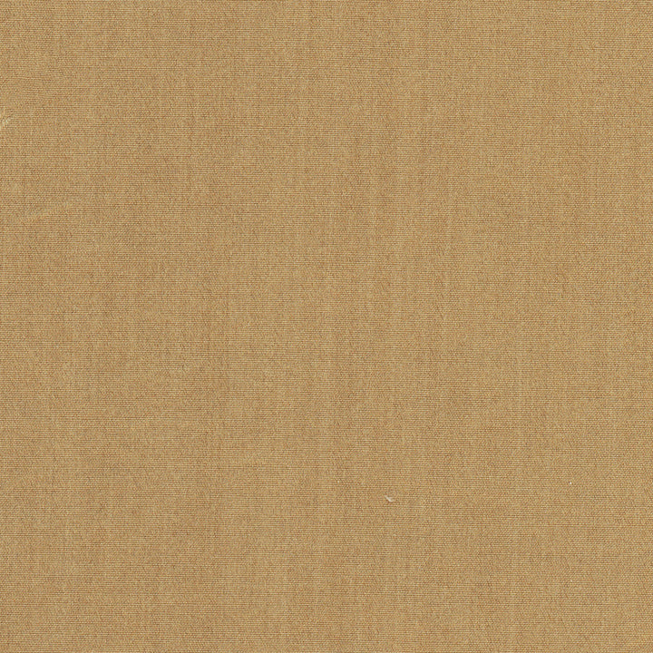 Tempt Sepia by Carole Fabric Royale 100% IFR Polyester India Passes 45,000 Double Rubs Wyzenbeek Horizontal: 0 and Vertical: 0 54 - Fabric Carolina -